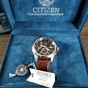 Citizen Signature Collection Watch